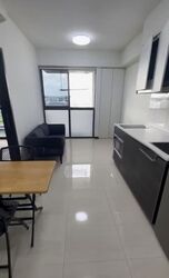 Sims Urban Oasis (D14), Condominium #539302121